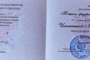 Илюшкина Любовь Николаевна — Диплом / сертификат №2