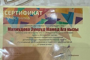 Иза — Портфолио №1