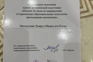 Иза — Портфолио №3