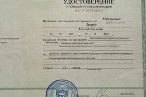 Иза — Портфолио №4