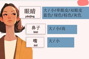 Эль Хаддад Рима Хоссамовна — Внешность, лексика — Портфолио №3