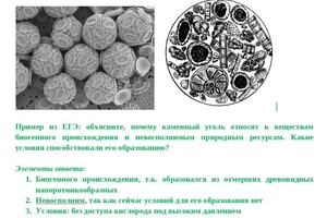 Юрченко Ольга Александровна — Портфолио №4