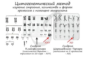 Юрченко Ольга Александровна — Портфолио №6