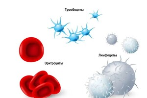 Юрченко Ольга Александровна — Портфолио №7