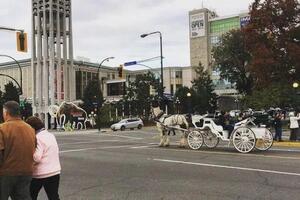 Downtown Victoria BC, Canada — Каменева Екатерина Павловна