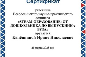 Капёнкина Ирина Николаевна — Диплом / сертификат №4