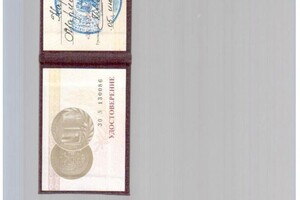 Карпова Мария Павловна — Диплом / сертификат №2