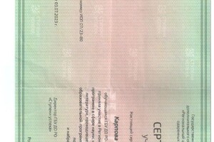 Карпова Мария Павловна — Диплом / сертификат №5