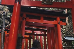 Khamardzinava Kataryna — Портфолио №1