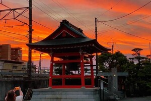 Khamardzinava Kataryna — Портфолио №4