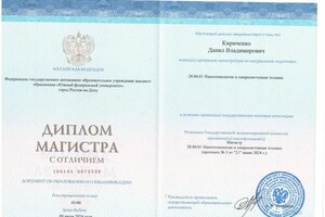 Кириченко Данил Владимирович — Диплом / сертификат №1