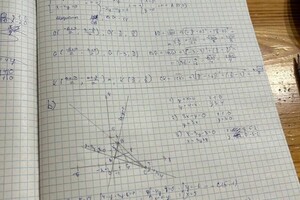 Кочелаба Валерия Алексеевна — математический анализ — Портфолио №1