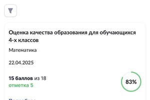 Коченгина Элла Юрьевна — Диплом / сертификат №3