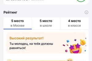 Коченгина Элла Юрьевна — Диплом / сертификат №5