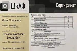 Диплом / сертификат №1 — Кочетова Юлиана Сергеевна