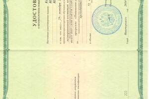 Колодкина Юлия Юрьевна — Диплом / сертификат №1