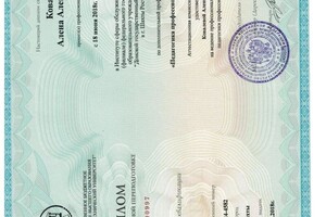 Ковалева Алена Александровна — Диплом / сертификат №3