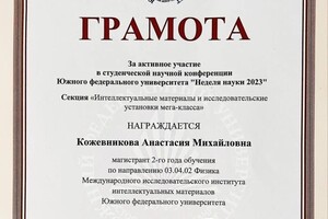 Диплом / сертификат №9 — Кожевникова Анастасия Михайловна