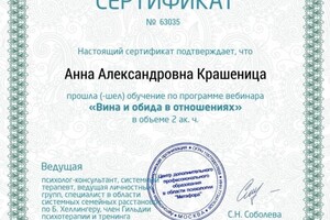 Крашеница Анна Александровна — Диплом / сертификат №17