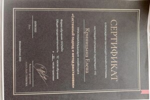 Криницына Елена Сергеевна — Диплом / сертификат №2