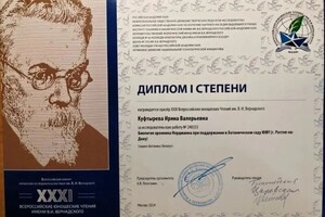 Куфтырева Ирина Валерьевна — Диплом / сертификат №1