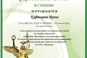 Куфтырева Ирина Валерьевна — Диплом / сертификат №2