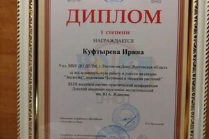 Куфтырева Ирина Валерьевна — Диплом / сертификат №4