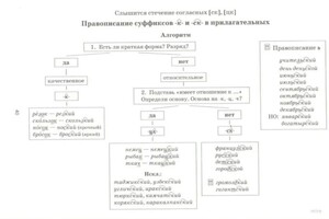 Леонова Полина Александровна — Портфолио №5