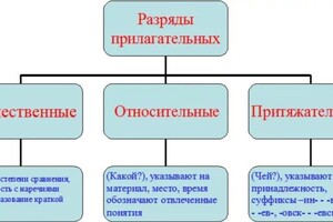 Леонова Полина Александровна — Портфолио №7