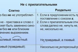 Леонова Полина Александровна — Портфолио №9