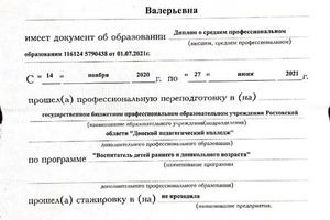 Диплом / сертификат №2 — Левенчук Валерия Валерьевна