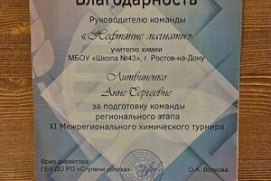 Литвиненко Анна Сергеевна — Диплом / сертификат №1