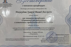 Махмудова Иза Мамедовна — Портфолио №2