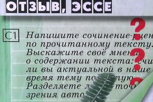 Пособие для подготовки к ЕГЭ. Сочинение, отзыв, эссе — Махницкая Елена Юрьевна