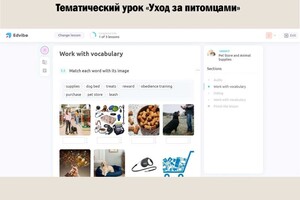 Максимушкина Полина Валерьевна — Урок на платформе Edvibe (ProgressMe) — Портфолио №13