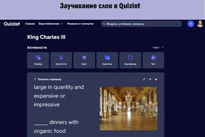 Максимушкина Полина Валерьевна — Работа с новыми словами в Quizlet — Портфолио №14