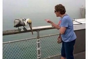 Максимушкина Полина Валерьевна — Портфолио №7