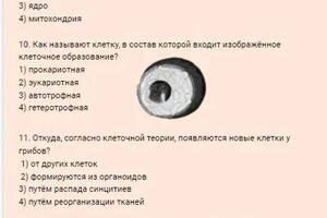 Домашняя работа.После каждого занятия я задаю домашнее задание с целью закрепления материала — Маркова Ирина Николаевна