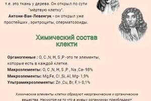 Скрипт - это рабочий инструмент для ученика,который облегчает восприятие материала — Маркова Ирина Николаевна