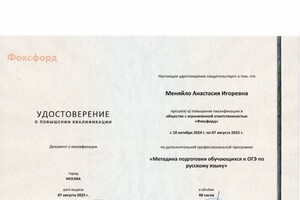 Меняйло Анастасия Игоревна — Портфолио №5