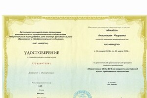 Меняйло Анастасия Игоревна — Портфолио №6