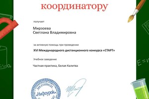 Мирзоева Светлана Владимировна — Портфолио №3
