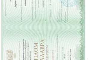 Мисик Дарина Игоревна — Диплом / сертификат №1