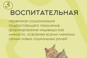 Мотузова Даниэлла Эдуардовна — Портфолио №14