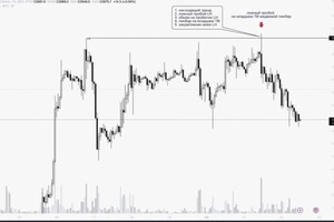 Нурмагомедов Нурмагомед Абдулханипович — Портфолио №16
