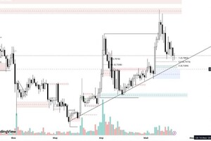 Нурмагомедов Нурмагомед Абдулханипович — Портфолио №19