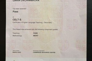 Овчинникова Дарья Константиновна — Диплом / сертификат №3