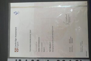 Овчинникова Дарья Константиновна — Диплом / сертификат №4