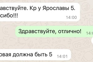 Овсянникова Аэлита Олеговна — Портфолио №4