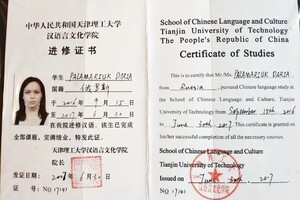 Паламарюк Дарья Александровна — Диплом / сертификат №2